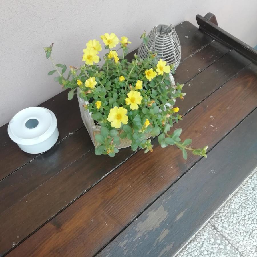 Zanica A&G Apartment מראה חיצוני תמונה