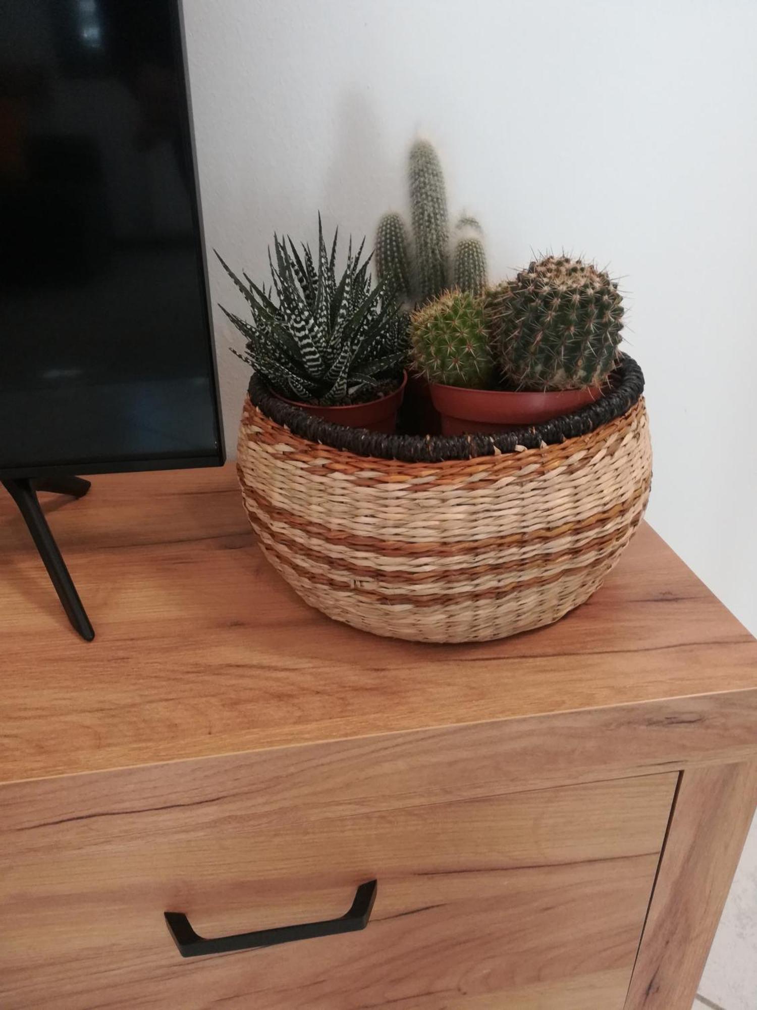 Zanica A&G Apartment מראה חיצוני תמונה